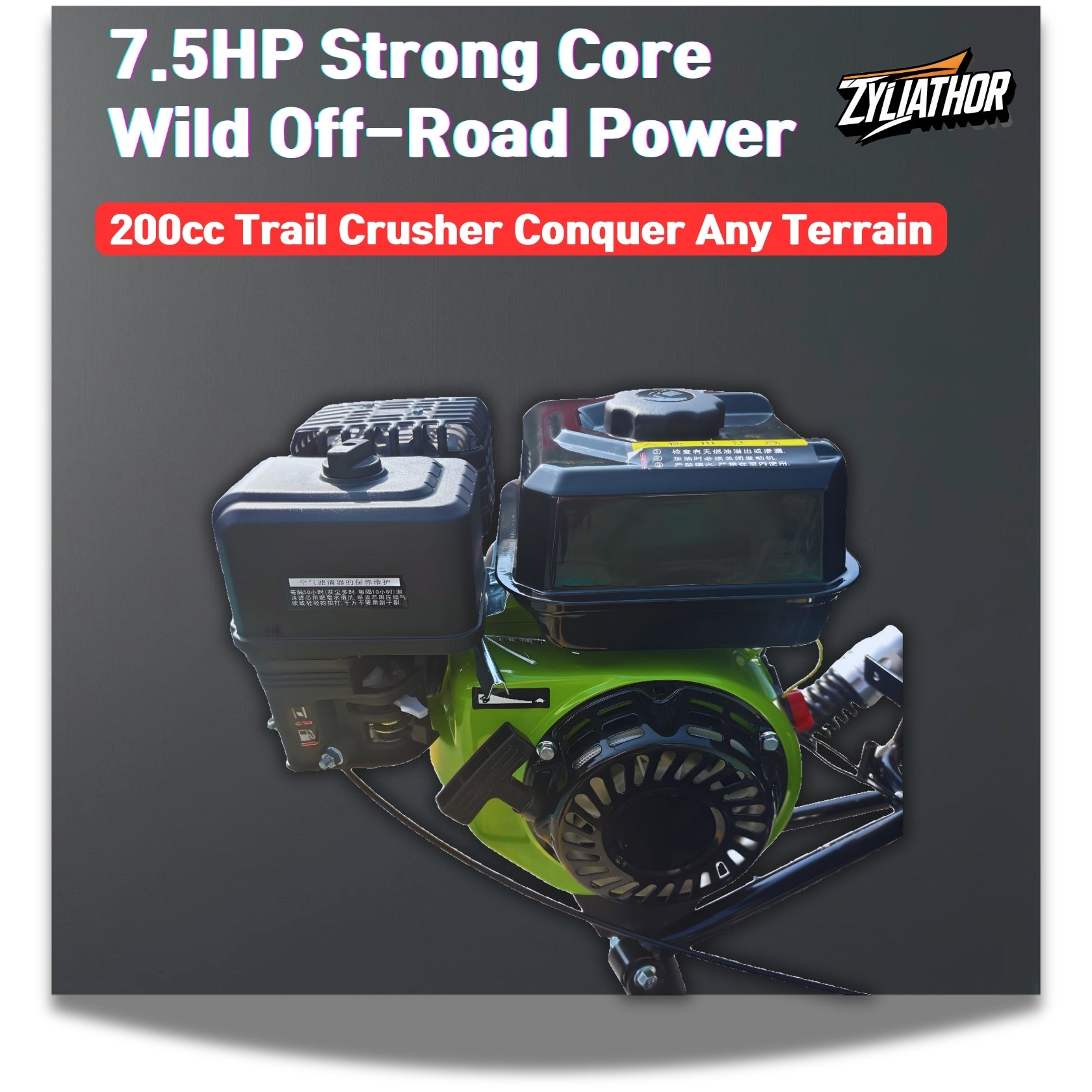 Zyliathor 212cc go kart  gas off-road with CVT, hydraulic disc brakes and 6-inch AT tires for adults and teens