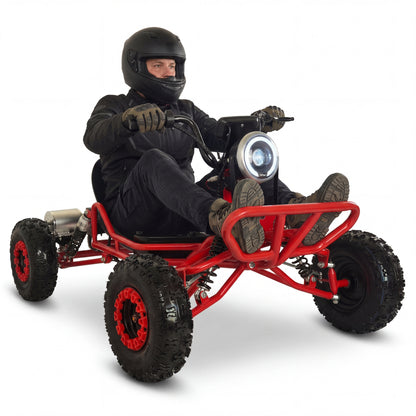 Adult & Kids Electric Go Kart,2000W Brushless,31MPH,Up to 12 miles, 3 Speed + Reverse, Hydraulic Disc Brake, 6" All-Terrain Tires, 440 lb, Off-Road Kart for Backyard & Private Property Trails (Black)