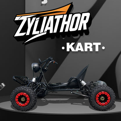 Adult & Kids Electric Go Kart,2000W Brushless,31MPH,Up to 12 miles, 3 Speed + Reverse, Hydraulic Disc Brake, 6" All-Terrain Tires, 440 lb, Off-Road Kart for Backyard & Private Property Trails (Black)