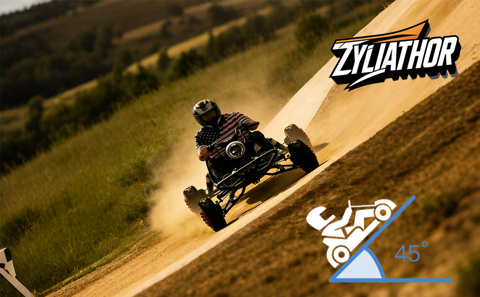 Adult & Kids Electric Go Kart,2000W Brushless,31MPH,Up to 12 miles, 3 Speed + Reverse, Hydraulic Disc Brake, 6" All-Terrain Tires, 440 lb, Off-Road Kart for Backyard & Private Property Trails (Black)