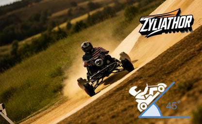 Adult & Kids Electric Go Kart,2000W Brushless,31MPH,Up to 12 miles, 3 Speed + Reverse, Hydraulic Disc Brake, 6" All-Terrain Tires, 440 lb, Off-Road Kart for Backyard & Private Property Trails (Black)