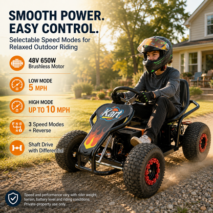Zyliathor 48V 650W Electric Go Kart 35 miles