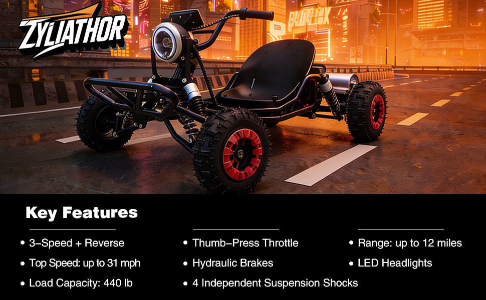 Adult & Kids Electric Go Kart,2000W Brushless,31MPH,Up to 12 miles, 3 Speed + Reverse, Hydraulic Disc Brake, 6" All-Terrain Tires, 440 lb, Off-Road Kart for Backyard & Private Property Trails (Black)