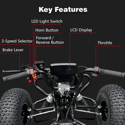 Adult & Kids Electric Go Kart,2000W Brushless,31MPH,Up to 12 miles, 3 Speed + Reverse, Hydraulic Disc Brake, 6" All-Terrain Tires, 440 lb, Off-Road Kart for Backyard & Private Property Trails (Black)