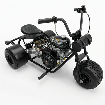 208cc Gas Mini Off-Road Trike Motorcycle CVT, 31MPH Drift Trike Bike, – Zyliathor Go kart