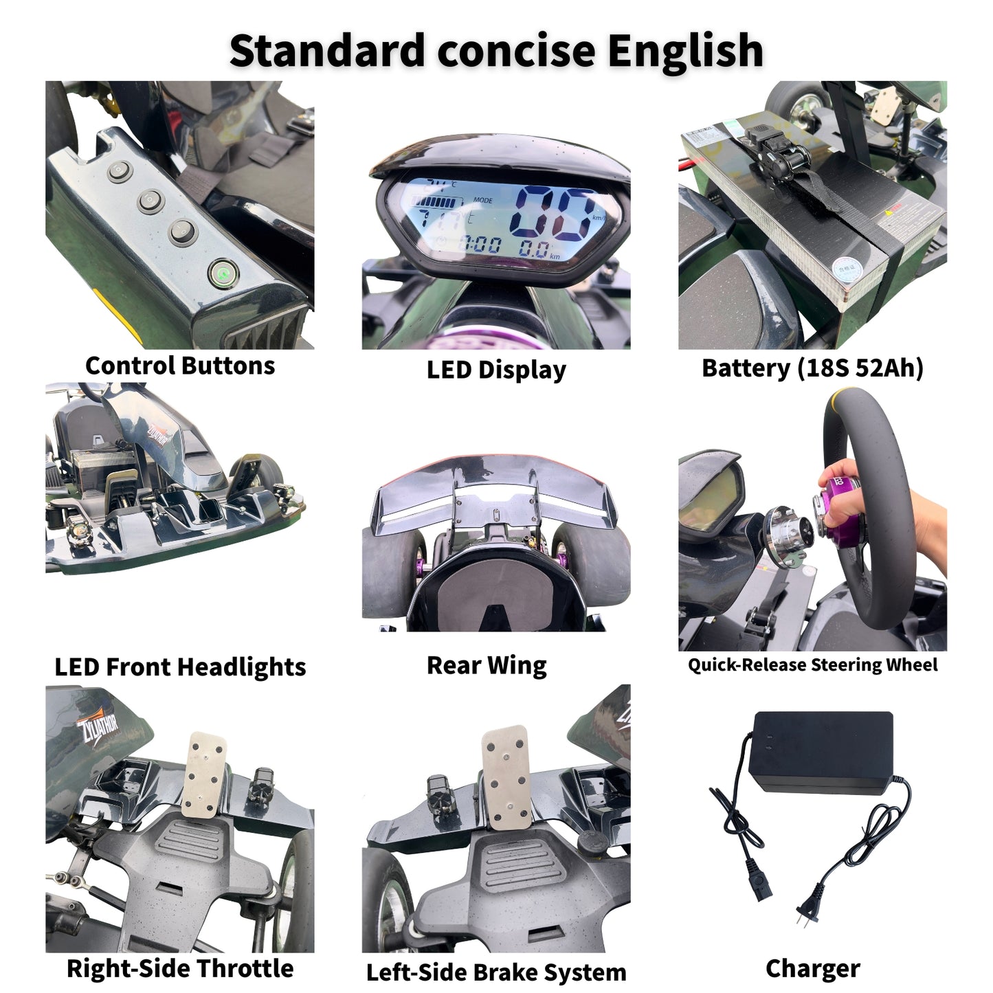 Zyliathor 3000W Mid-Mount Electric Racing Go-Kart, Peak 28kW, 18S 52Ah Battery, 72530 Controller,74.6 mph, Adjustable Chassis, 12" Quick-Release Wheel, Hydraulic Brakes, LED Display & Lights