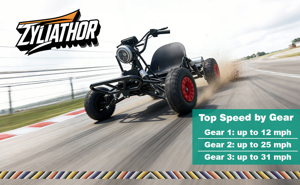 Adult & Kids Electric Go Kart,2000W Brushless,31MPH,Up to 12 miles, 3 Speed + Reverse, Hydraulic Disc Brake, 6" All-Terrain Tires, 440 lb, Off-Road Kart for Backyard & Private Property Trails (Black)