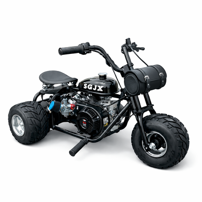 208cc Gas Mini Off-Road Trike Motorcycle CVT, 31MPH Drift Trike Bike, Rear Hydraulic Disc Brake, High-Carbon Steel Frame, Stabilizer Wheels, Muffler, Private Property Only